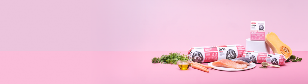 Salmon Single Protein Diets