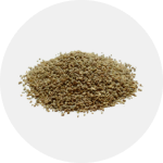 Celery Seed