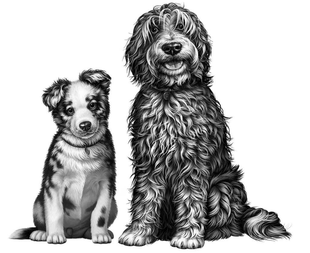 Drawing of 2 dogs