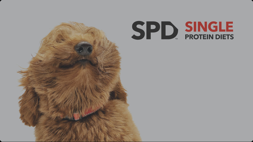 SPD Single Protein Diets video