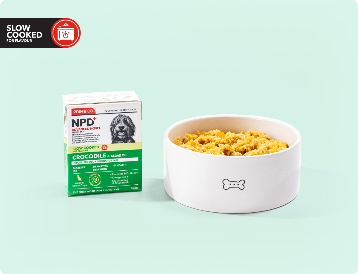 Elimination Diet for Dogs: Discover Hidden Allergies