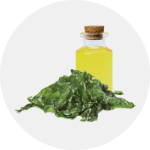 Algae Oil