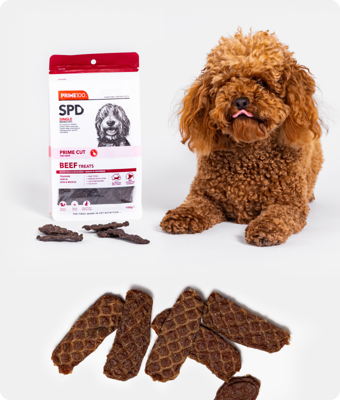 SPD™ Prime Cut Treats