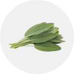 Sage