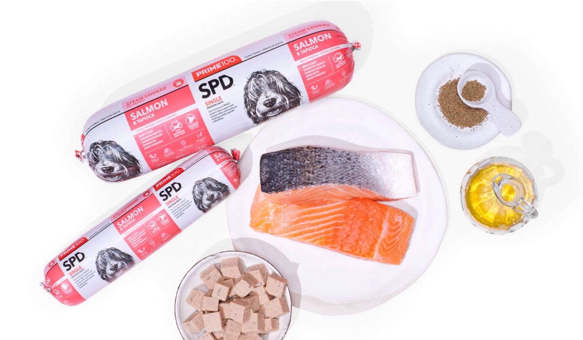 <h2>The Benefits of <strong>Salmon</strong></h2>